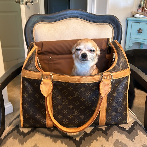 Louis Vuitton | Dog Carrier 40 - Picture 7 of 8